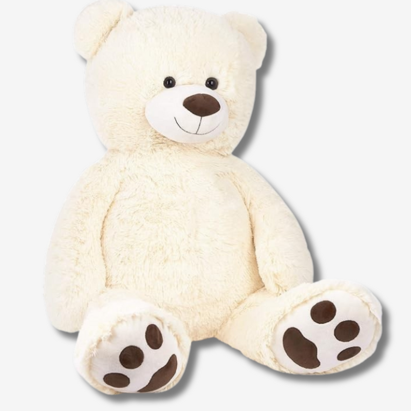 Teddybär - dein neuer bester Freund